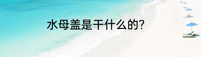 水母盖是干什么的？
