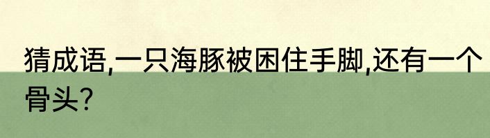 猜成语,一只海豚被困住手脚,还有一个骨头？