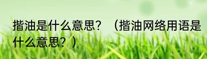揩油是什么意思？（揩油网络用语是什么意思？）