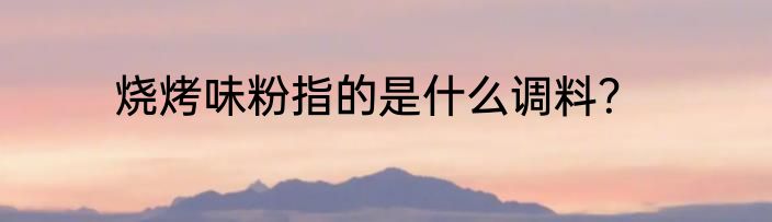 烧烤味粉指的是什么调料？