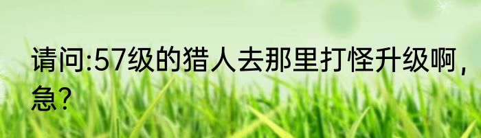 请问:57级的猎人去那里打怪升级啊，急？