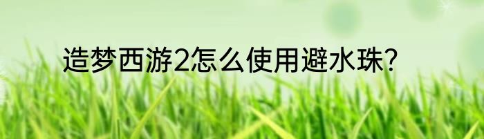 造梦西游2怎么使用避水珠？