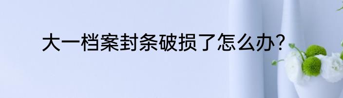 大一档案封条破损了怎么办？