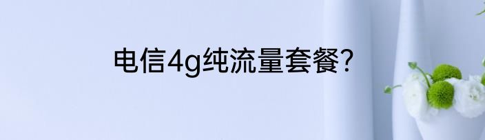 电信4g纯流量套餐？