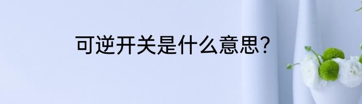可逆开关是什么意思？