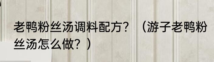 老鸭粉丝汤调料配方？（游子老鸭粉丝汤怎么做？）