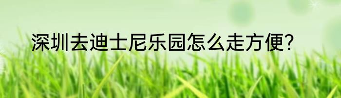 深圳去迪士尼乐园怎么走方便？