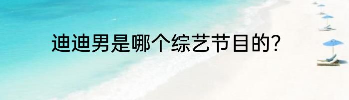 迪迪男是哪个综艺节目的？