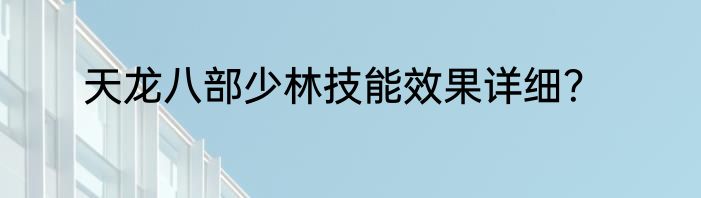 天龙八部少林技能效果详细？