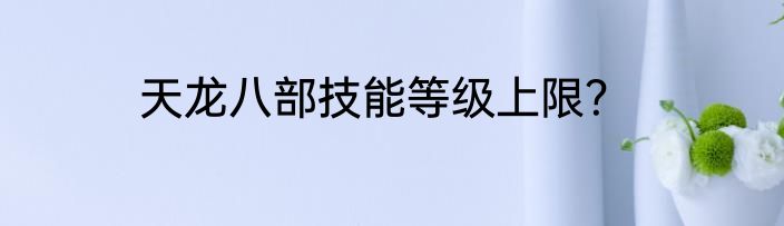 天龙八部技能等级上限？