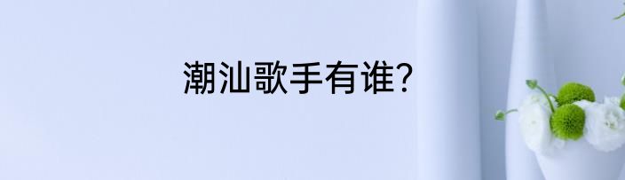 潮汕歌手有谁？