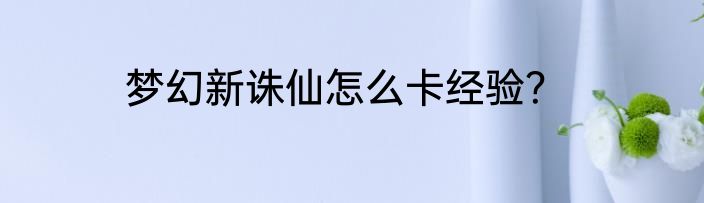 梦幻新诛仙怎么卡经验？