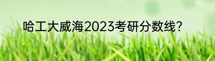 哈工大威海2023考研分数线？