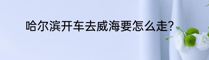 哈尔滨开车去威海要怎么走？