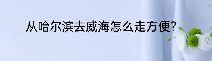 从哈尔滨去威海怎么走方便？
