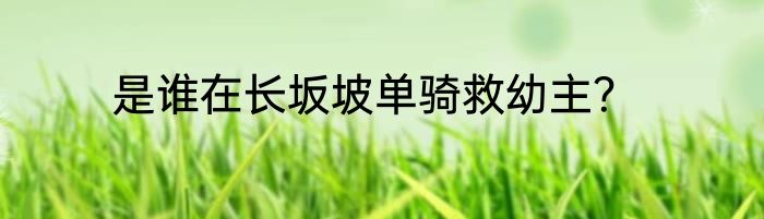 是谁在长坂坡单骑救幼主？