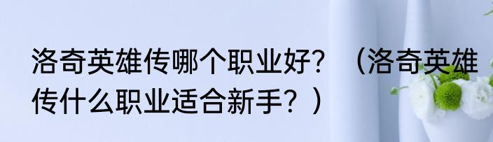 洛奇英雄传哪个职业好？（洛奇英雄传什么职业适合新手？）