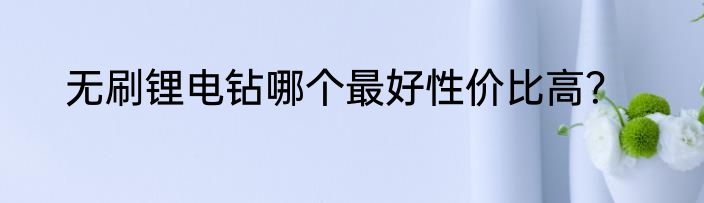 无刷锂电钻哪个最好性价比高？
