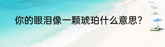 你的眼泪像一颗琥珀什么意思？