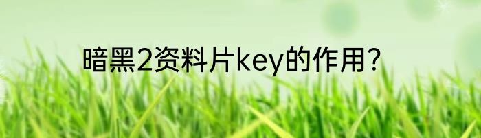 暗黑2资料片key的作用？