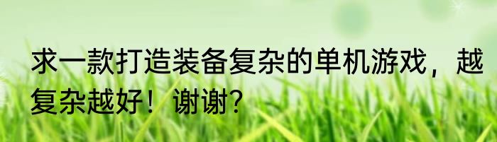 求一款打造装备复杂的单机游戏，越复杂越好！谢谢？