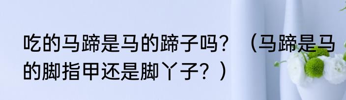 吃的马蹄是马的蹄子吗？（马蹄是马的脚指甲还是脚丫子？）