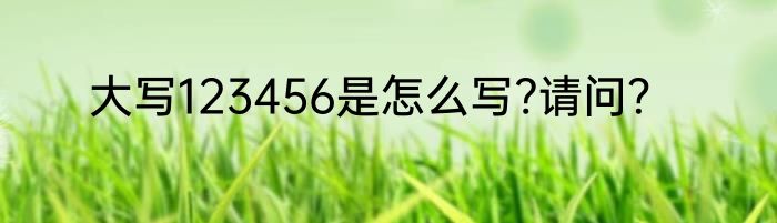 大写123456是怎么写?请问？