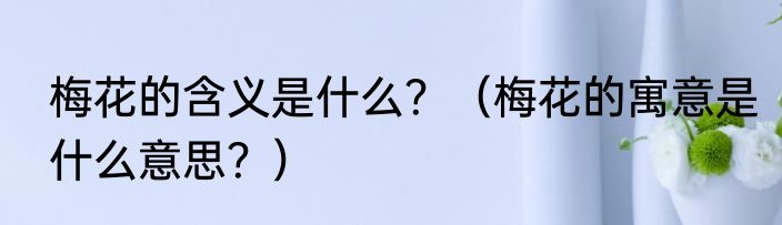 梅花的含义是什么？（梅花的寓意是什么意思？）