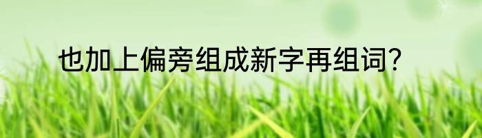 也加上偏旁组成新字再组词？