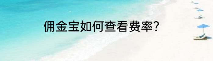 佣金宝如何查看费率？