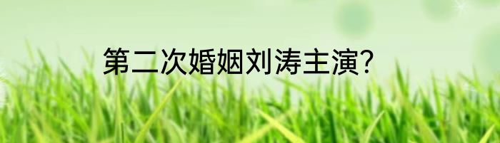 第二次婚姻刘涛主演？