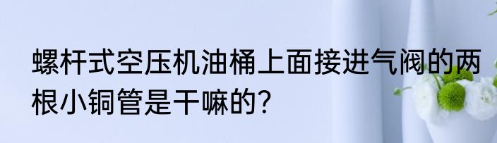 螺杆式空压机油桶上面接进气阀的两根小铜管是干嘛的？