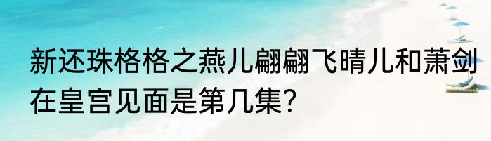 新还珠格格之燕儿翩翩飞晴儿和萧剑在皇宫见面是第几集？