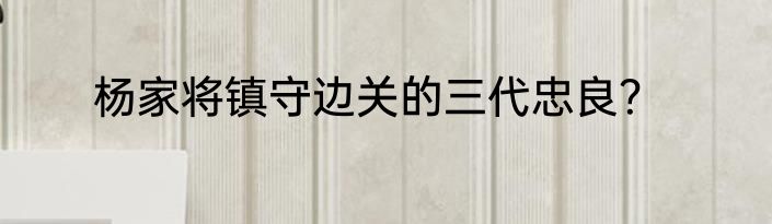 杨家将镇守边关的三代忠良？