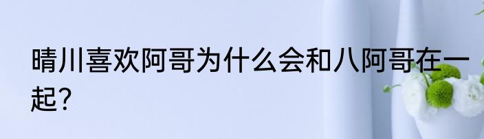 晴川喜欢阿哥为什么会和八阿哥在一起？