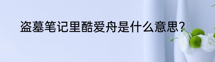 盗墓笔记里酷爱舟是什么意思？
