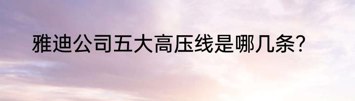 雅迪公司五大高压线是哪几条？