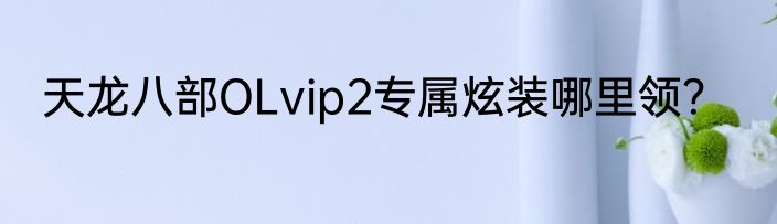 天龙八部OLvip2专属炫装哪里领？