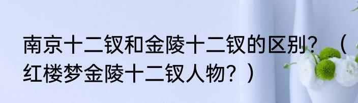 南京十二钗和金陵十二钗的区别？（红楼梦金陵十二钗人物？）