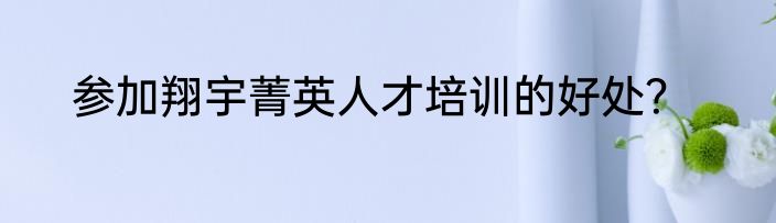 参加翔宇菁英人才培训的好处？
