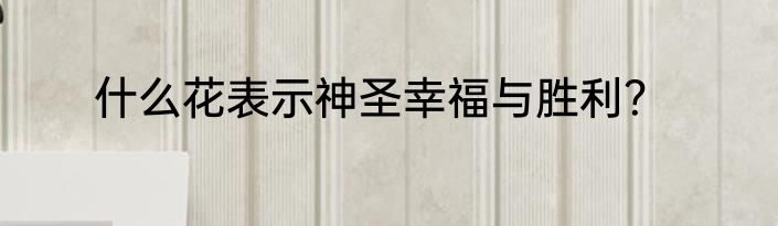 什么花表示神圣幸福与胜利？