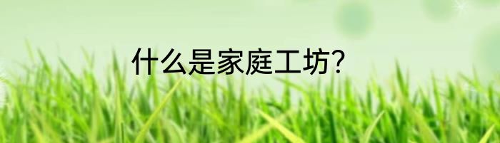 什么是家庭工坊？