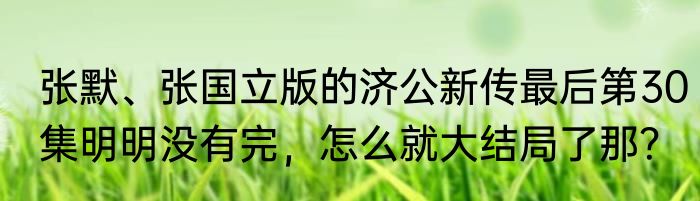 张默、张国立版的济公新传最后第30集明明没有完，怎么就大结局了那？