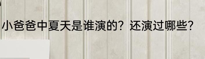 小爸爸中夏天是谁演的？还演过哪些？
