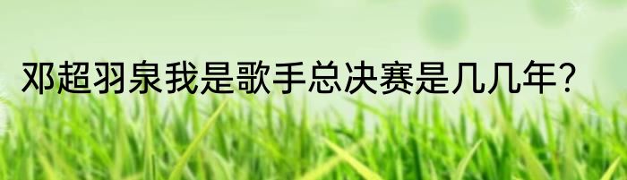 邓超羽泉我是歌手总决赛是几几年？