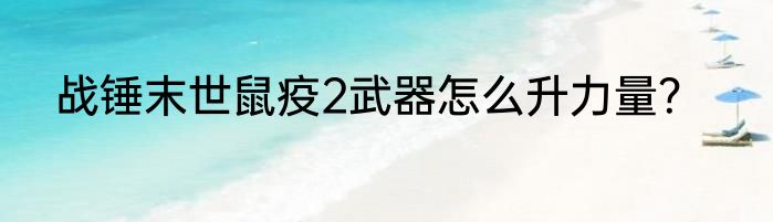 战锤末世鼠疫2武器怎么升力量？