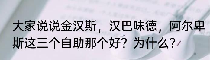 大家说说金汉斯，汉巴味德，阿尔卑斯这三个自助那个好？为什么？