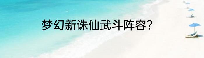 梦幻新诛仙武斗阵容？
