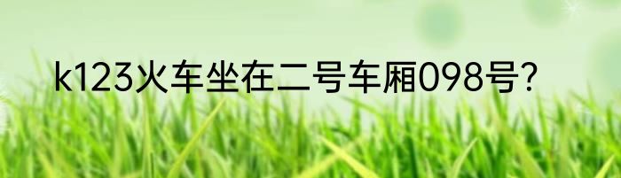 k123火车坐在二号车厢098号？