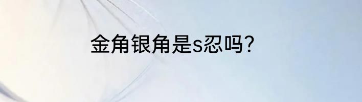 金角银角是s忍吗？